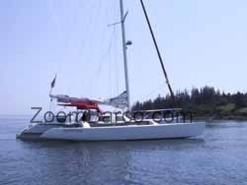 Chris White Hammerhead 34 ficha tecnica